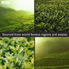 Solstice Loose Leaf Sencha Green Tea, 1 LB, Bulk 16-Ounces
