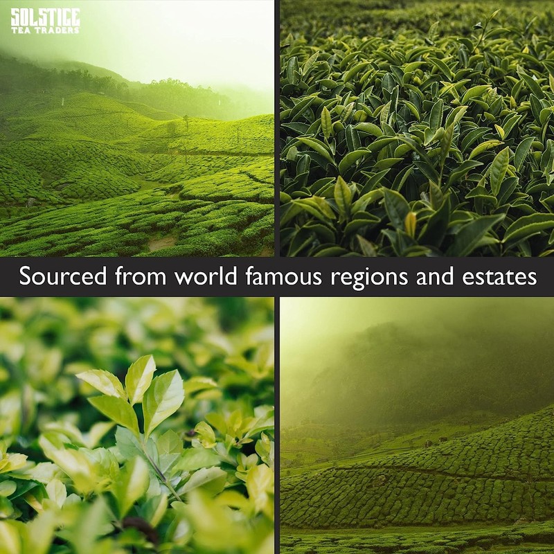 Solstice Loose Leaf Sencha Green Tea, 1 LB, Bulk 16-Ounces
