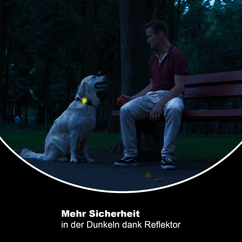 6 x Magnetic Reflectors - Reflective Lapel Magnets for Maximum