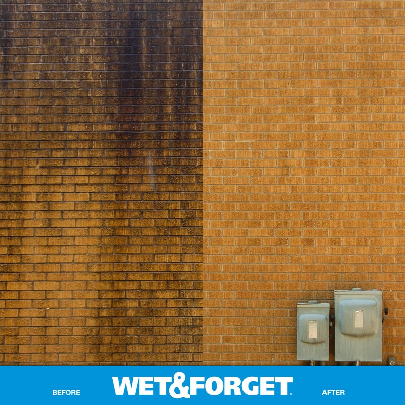 Wet & Forget Outdoor Moss Mold Mildew & Algae Stain