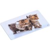 2 Kesper Decorative Boards Cat Design Serving Board Breakfast Board