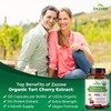 Zazzee USDA Organic Tart Cherry 10:1 Extract, 120 Vegan Capsules,