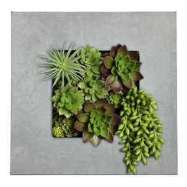 Modern Home Living Wall Galvanized Steel/Zinc Succulent Planter, Wall Mounted Garden Pocket Planter (4 Pocket, Aged Zinc)