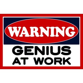 Tin Sign 20 x 30 cm Warning Genius at Work Warning Genie beim Arbeiten Saying Board