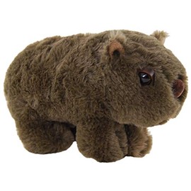 Elka Australia Wombat Soft Plush Toy, 18 Centimeters