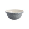 Mason Cash Colour Mix Grey 24 CM Mixing Bowl
