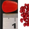 PRO FILSTAR Artificial Bait Set Corn 20 Red Pieces -