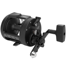 Fishing Reel Sea Fishing 1BB Fishing Reel Baitcasting Reel Fishing Wheel Accessory3000L
