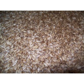 Whole Oat Groats: Raw Hulless Oats, Farmer Direct 15 lbs. (Clear Poly Plastic Bag (Organic))