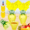 Fruit Fly Trap for Indoors,2025 Upgrade Fruit Flies Gnat Killer