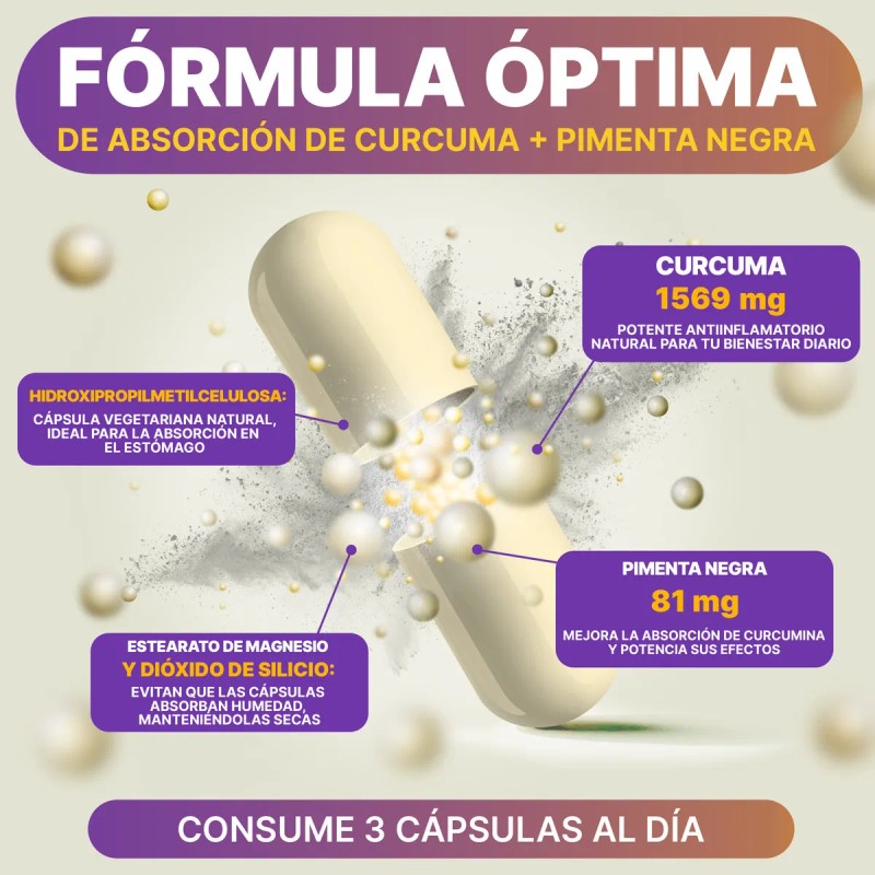 Suplemento De Cúrcuma Curcumina 1569 Mg 60 Cápsulas Sabor Sin