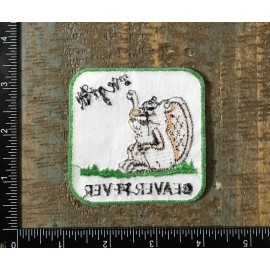 Unbranded Vintage BEAVER FEVER I’ve Got It! Funny Humor Embroidered Iron-On Patch