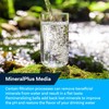 SpiroPure SP-IM120 Inline Alkaline Carbon Water Filter, MineralPlus Remineralization Filter
