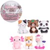 Kawaii Kuties 5" / 13cm Collectable Soft Plush Toy Surprise