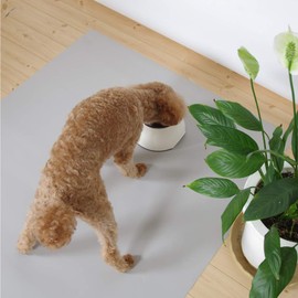 San-Luna Waterproof Anti-Slip Sheet, 31.5 x 45.3 inches (80 x 115 cm), Gray, Made in Japan | Waterproof, Non-Slip, Pets, Small Dogs, Medium Dogs, Large Dogs, Elderly Dogs, Elderly Dogs, Elderly Dogs,