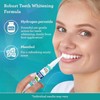 GuruNanda Pro Formula Whitening Gel Pen