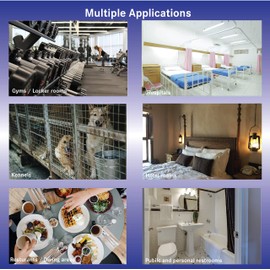 DWD2 Clean Air Odor Removal Fogger Super Plus – Enzyme-Based Interior Odor Control for Cars, Homes & Enclosed Spaces, Plant-Based, Non-Toxic, Powerful Formula for Air Freshening