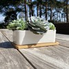 Selections White Succulent Trough Pot, Outdoor, Small