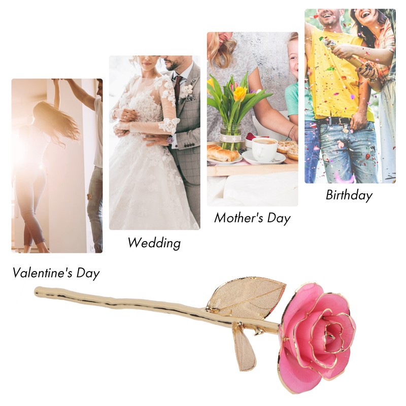 24K Gold Rose Dipped Golden Leaves Girlfriend Wife Valentine's Day