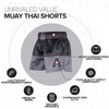 Anthem Athletics 50/50 Muay Thai Shorts - Kickboxing Short Boxing