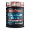 Suplemento En Polvo Myo-vector Sabor Piña De 600g