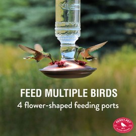 Perky-Pet Antique Glass Bottle Hummingbird Feeder - Outdoor Garden Décor Hummingbird Feeder - 8107-1SR - 10 Fl Oz Nectar Capacity - Durable Humming bird Feeder for Backyards, Porches, Decks, Hooks