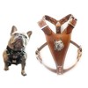 Beautiful Brown Leather Dog Harness Medium Size with French Bulldog