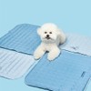 PETHROOM [PESROOM] Safe Cool Gel Mat 2.0 (S) Dog Cat