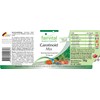 Fairvital Carotenoid Mix - High Dose - Vegan - 90