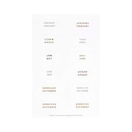 Erin Condren Metallic Monthly Tab Stickers Great for Customizing Tabbed Planners, Organizers, Agendas & Notebooks. 2 Clear Sticker Sheets with 12 Months in Metallic Foil Each (24 Monthly Tab Stickers)