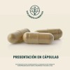 Colágeno Magnesio Y Vitaminas Life360+ Magnesio Mix 270 Cáps Sabor