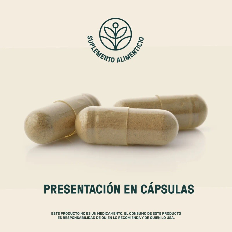 Colágeno Magnesio Y Vitaminas Life360+ Magnesio Mix 270 Cáps Sabor