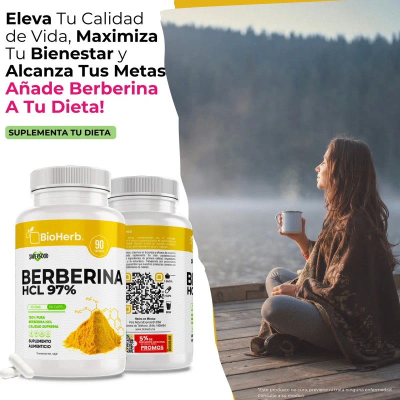 Berberina Hcl Clorhidrato Cápsulas Días Potente Formulacion Alta Concentracion Absorcion