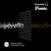 Acoustic Freaks 12 + 1 Pack Acoustic Foam Sound Absorbing