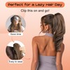 SEIKEA Ponytail Extension, 18" Wavy Claw Clip in Hair Extensions