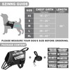 MOOGROU Service Dog Vest Harness and Leash Set+10 Patches,No Pull&Easy