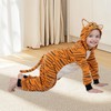 Wizland Kids Tiger Onesie Costume Set,Tiger Jumpsuit with Tail,Animal Costume