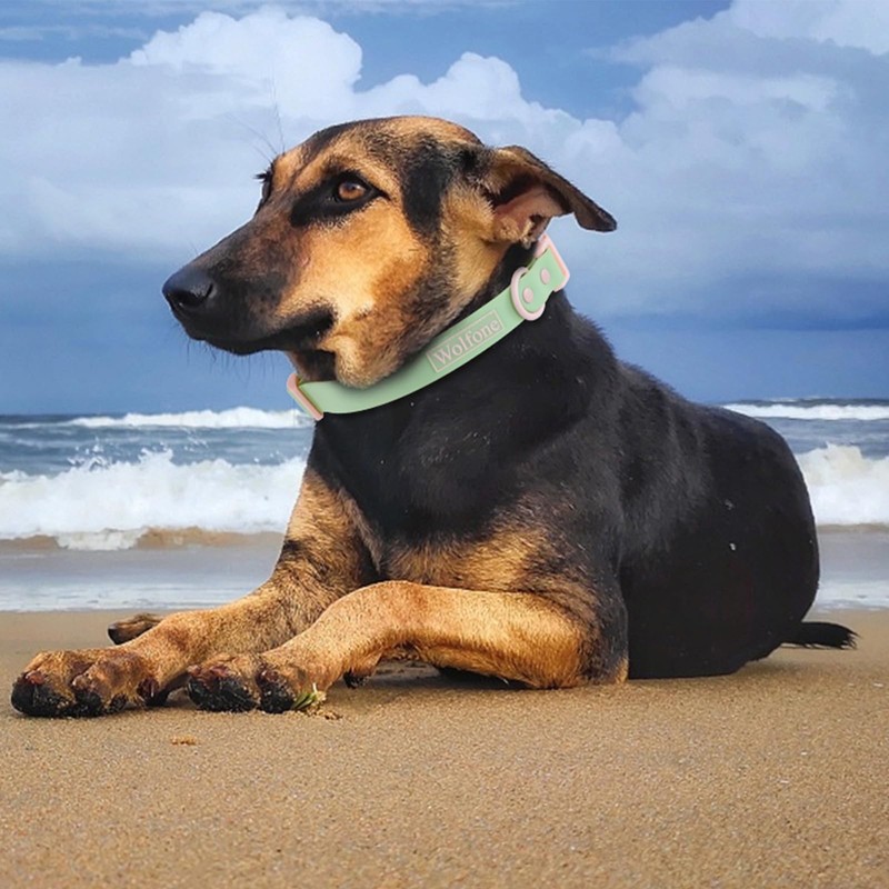 Wolfone Waterproof Dog Collar with Quick Release Buckle， Cute Adjustable