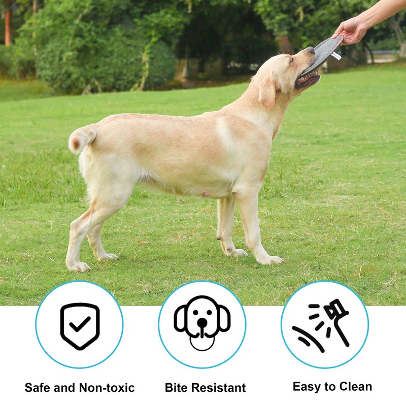 XGYLVFEI Small & Medium Dog Frisbee Dog Catch Toys/Floating Interactive