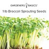 Gardeners Basics, Broccoli Seeds for Sprouting Kit and Microgreens Non-GMO,