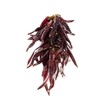 Guindillas Dried Spicy Peppers String of 50