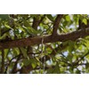 Antanker Hand Rope Chain Saw 48 Inch High Reach Tree