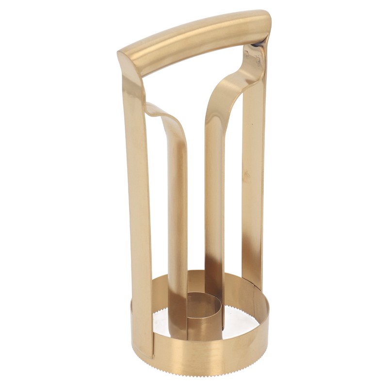 Pineapple Corer Gold Stainless Steel Pineapple Corer Peeler Cutter Fruit