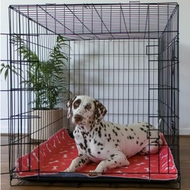 Dry Paws - Orange Reusable Puppy Pads - Accident Proof - Ultra Absorbent - Washable Dog Pee Pads - Multi-Purpose Protection - Waterproof Dog Mats for Floors - Large (L)