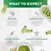 Vitavox Moringa Orgánica 100% Pura 60 Cáps Energía Bienestar