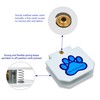 Pet Fit For Life Dog Pedal Water Fountain - Step-On