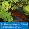 API POND pH UP Pond Water pH Raising Solution 16-Ounce