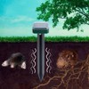 Ultrasonic Solar Mole Snake Mouse Pest Rodent Repeller Outdoor Garden