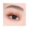 Clio Pro Eye Palette 12 Autumn Breeze in Seoul Forest