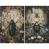 Gothic Bugs Rice Paper, 8 x 10.5 Inch - for